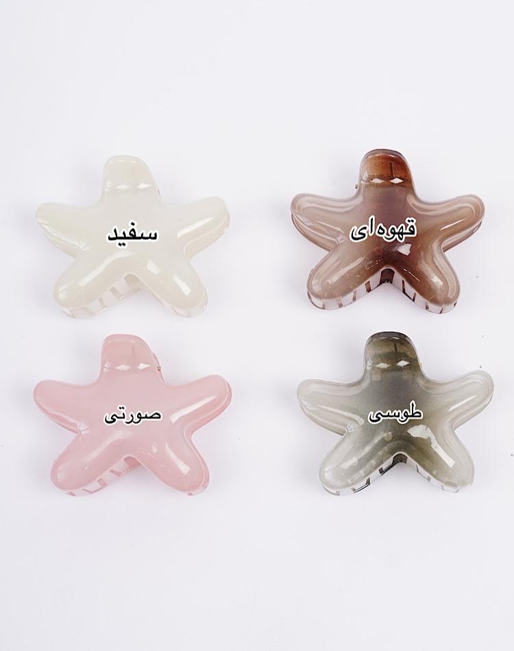 1_گیره مو ستاره (کد 00391)